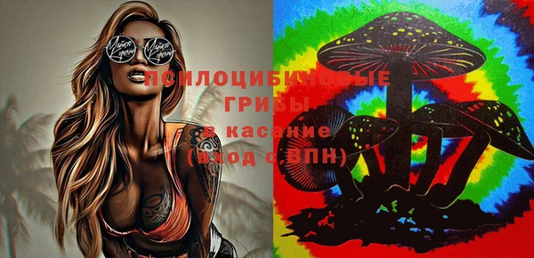 таблы Алексеевка