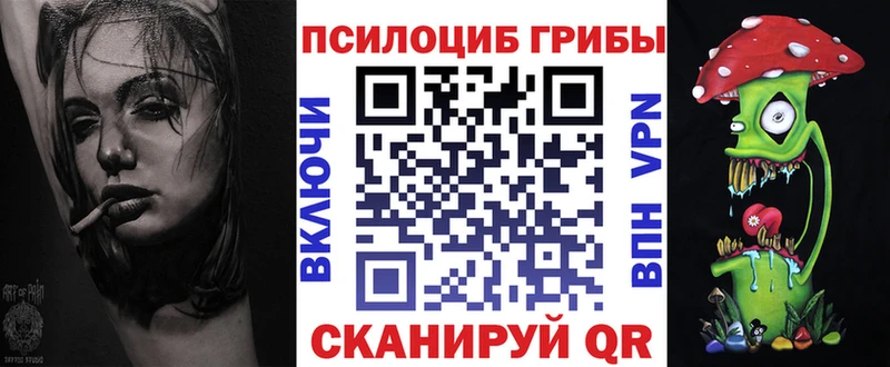 где купить наркоту  MEGA ONION  Псилоцибиновые грибы ЛСД  shop какой сайт  Данков 